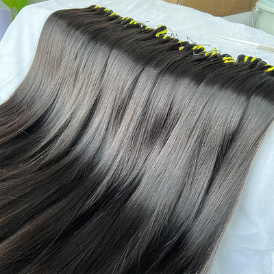 55% 가장 긴 머리카락 비율 브라질 머리 뭉치 모든 색채 염색